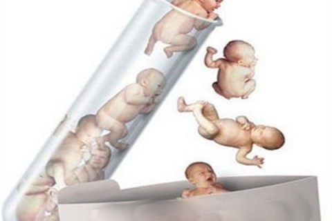 http://suzhou.dacou.net/post/194.html|苏州新闻中心